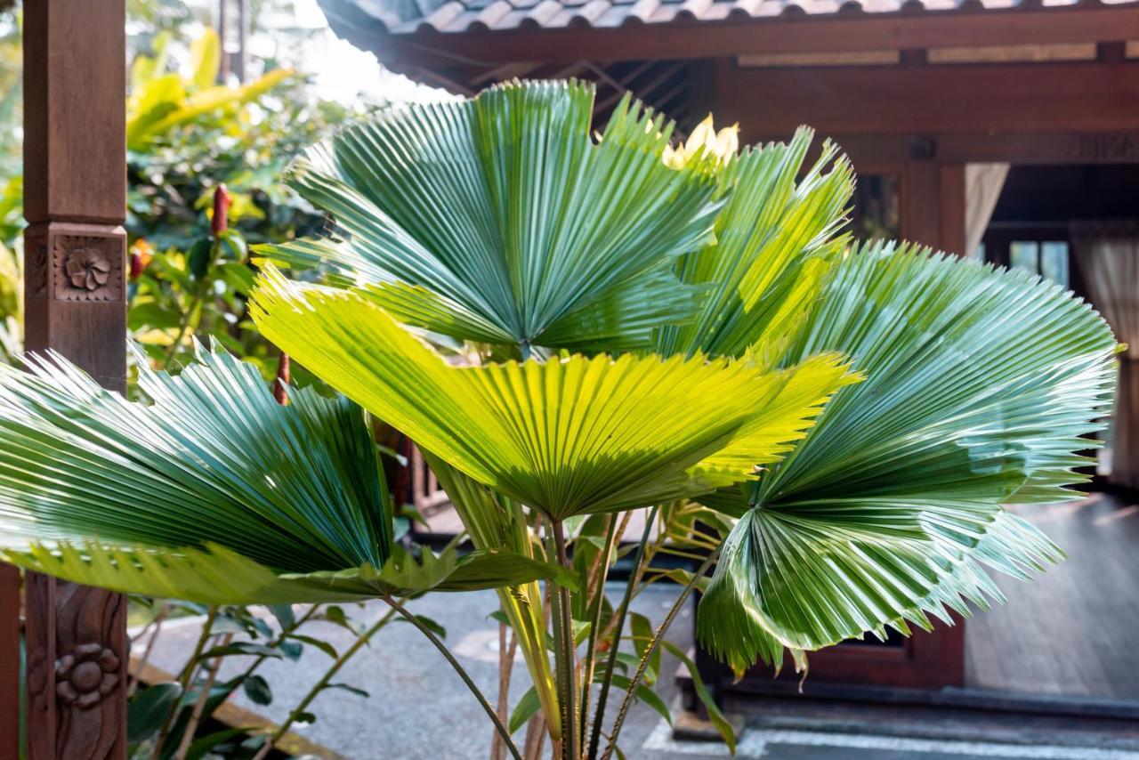 Villa Waturenggong Ubud Zewnętrze zdjęcie